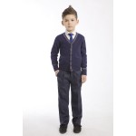 Айвенго,брюки школьные для мальчика R111П БрМ328 синий
