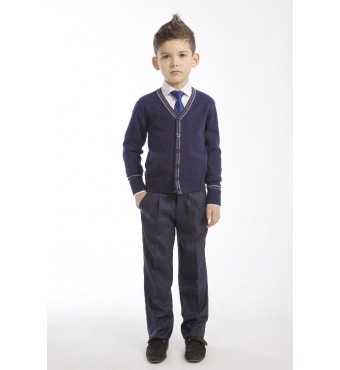 брюки школьные для мальчика Айвенго R111П БрМ328 синий